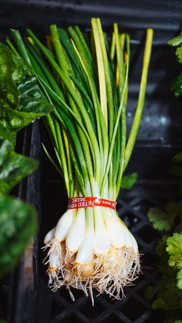 Hortifruti